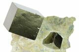 Three Lustrous, Natural Pyrite Cubes in Rock - Navajun, Spain #168485-1
